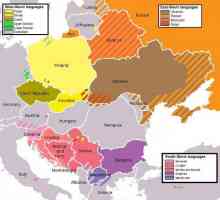 Na kojim su granama podijeljeni slavenski narodi? Drevni i moderni slavenski narodi