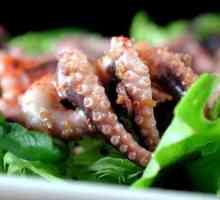 Na dnevnom redu: kako kuhati hobotnicu