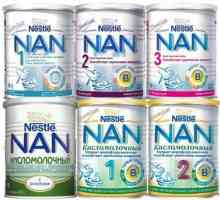 "Nan-1": recenzije. NAN - hrana za djecu