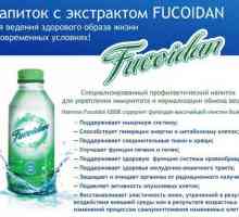 Pijte `Fukoidan`: recenzije. `Fukoidan`: upute, primjena, mišljenje…