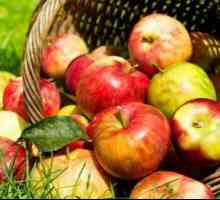 Pijte od jabuka: kuhanje recepata