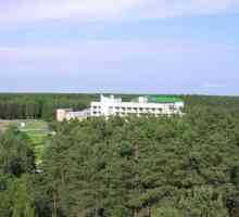 `Naroch`, turistički kompleks (Bjelorusija, regija Minski): recenzije turista