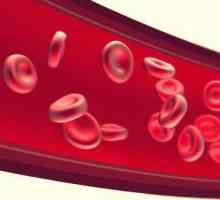 Kršenje protoka krvi tijekom trudnoće: uzroci, simptomi, liječenje