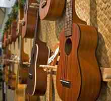 Postavljanje ukulele: sve pojedinosti