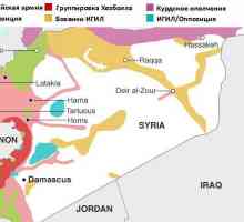 Ofenziva sirijske vojske. Posebne operacije u Siriji