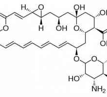 "Natamycin": upute za uporabu. Mast, supozitorije i tablete "Natamycin"