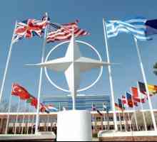 NATO: broj vojnika i oružja