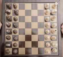 Saznajte kako sami igrati šah
