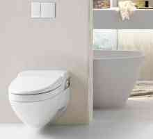 Zglobni WC školjka: modeli, veličine, ugradnja. Popravak zdjelice s šarkama