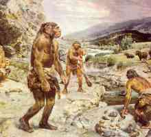 Neandertalac je ... Drevni ljudi su neandertalci