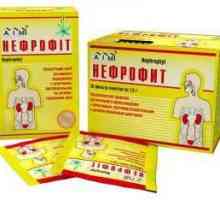 `Nephrofit`: upute za uporabu, recenzije i cijene