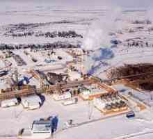 Područje Russkoeovog naftnog i plinskog kondenzata (NGKM)