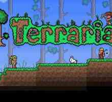 Non-player characters (NPC) u "Terraria"