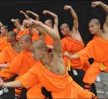 Neobična i nepredvidiva filmska izvedba `Shaolin monasi`