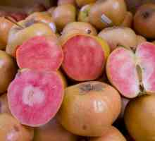 Neobična raznolikost jabuka Pink bisera