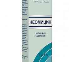 `Neomycin`: upute za upotrebu, opis, recenzije, cijena
