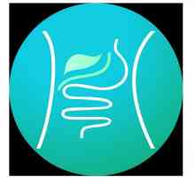 Intestinalna opstrukcija: simptomi, liječenje i posljedice