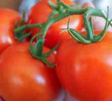 Neki savjeti kako zadržati svježe rajčice dugo