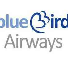 Nevjerojatno putovanje u Kretu s Blue Bird Airwaysom