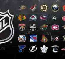 NHL - je ... NHL: dekodiranje, igrači, povijest