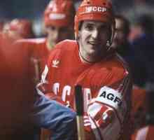 Nikolaj Drozdetsky - legenda o domaćem hokeju