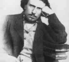 Nikolaj Semenovich Leskov. Biografija pisca