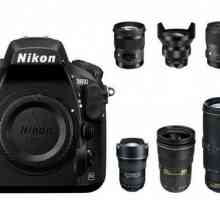 Nikon D810: обзор модели, отзывы покупателей и экспертов