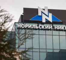 `Norilsk Nickel` - mirovinski fond: opis, usluge, ocjenjivanje i recenzije