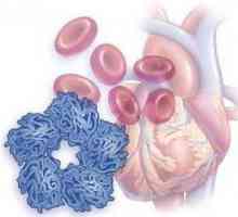Norma CRP u biokemijskoj analizi krvi