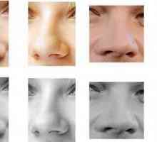 Nos, fizionomija: opis, oblik i značajke