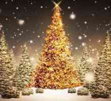 Novogodišnje zagonetke s odgovorima: o božićnom drvcu, Djedu Mraku i još mnogo toga