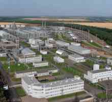 Novoshakhtinsk rafinerija: povijest, proizvodnja, proizvodnja