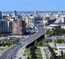 Novosibirsk: 154 regija. sinopsis
