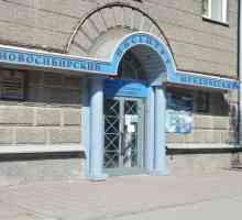 Novosibirsk Law Institute (podružnica) TSU