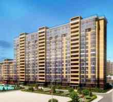 Nove zgrade u Vsevolozhsk: opis, značajke