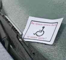 Nova kazna za parkiranje na licu mjesta za osobe s invaliditetom