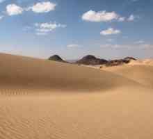 Nubijska pustinja: flora, klima, opis