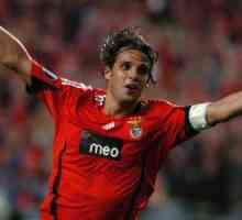 Nuno Gomes: sve najzanimljivije o legendi o Benfica