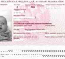 Trebam li putovnicu za dijete do 14 godina? Dokumenti i značajke