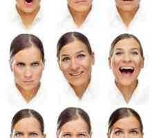 Što govori izraz osobe? Učenje izraza lica
