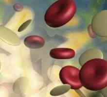 Koji su povišeni leukociti u krvi djece