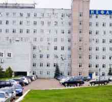 OJSC `Neftekamsk Automobile Plant`, Bashkiria