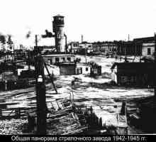 OJSC `Novosibirsk switch plant `: povijest, opis, proizvodi