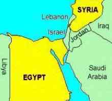 Ujedinjena Arapska Republika i njezin sastav. Grb i kovanice Ujedinjene republike