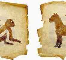 Majmun i pas: kompatibilnost na istočnom horoskopu