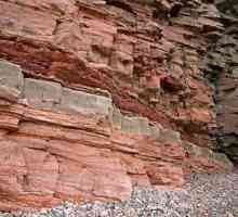 Detektivne terriganske stijene: opis, vrsta i klasifikacija
