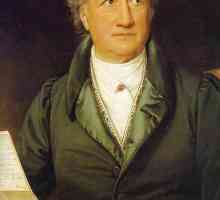 Slika Fausta u tragediji Goethea