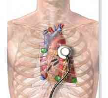 Ispitivanje srca. Ultrazvuk srca: što pokazuje? Metode ispitivanja srca