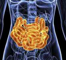 Opstrukcija intestinalne obustave: uzroci, simptomi, dijagnoza i metode liječenja