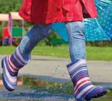 Обувь компании `Демар`: резиновые сапоги для дождливой погоды